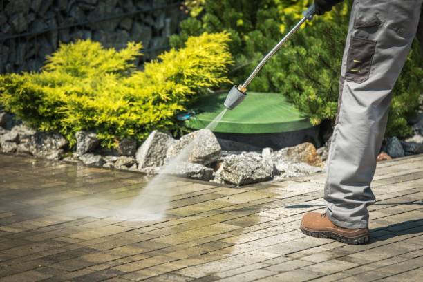 Best Sign and Awning Cleaning  in Wmington, IL