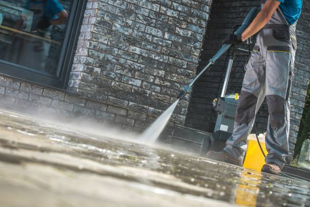 Best Driveway Pressure Washing  in Wmington, IL